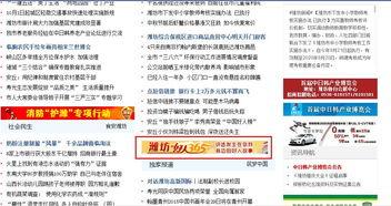 潍坊网友爆料新闻报道,揭秘某事件背后真相  第2张